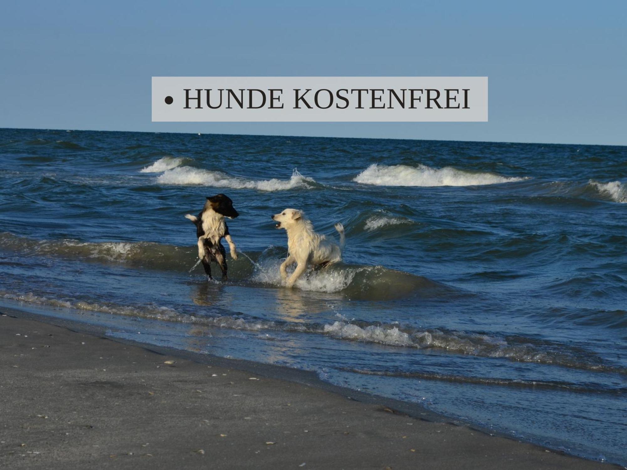 Haus Krabbe Apartments, Zentral Gelegen Im Idyllischen Nordseeort Zwischen Bremerhaven Und Cuxhaven, Hunde Kostenfrei Willkommen, Hauseigene Kostenfreie Parkplaetze Wremen Eksteriør bilde